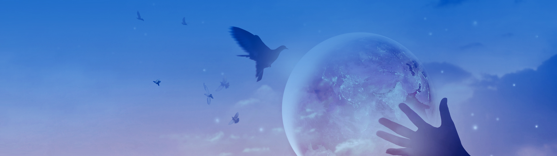 BG大游·(集团)视讯官方网站