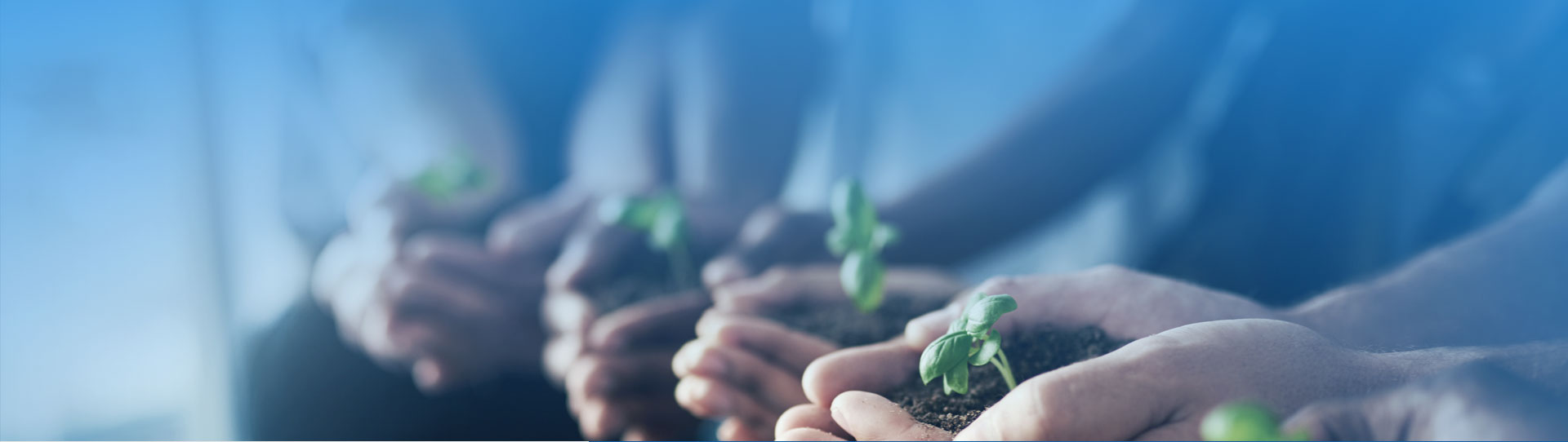 BG大游·(集团)视讯官方网站